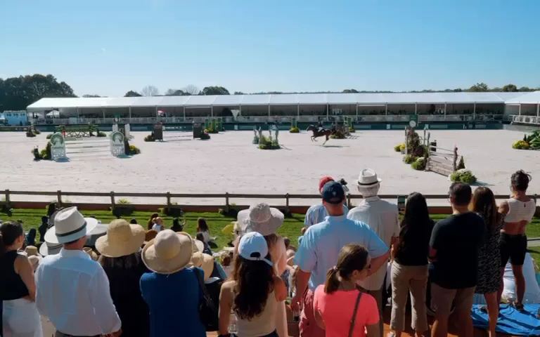 A rider in Trelawny Stadium at Greenwich Polo Club