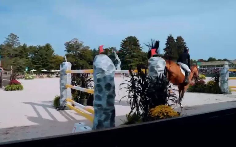 Show jumping in Trelawny Stadium at Greenwich Polo Club