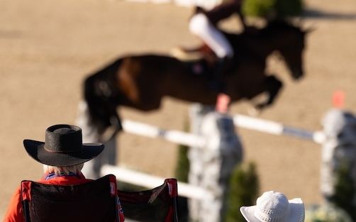 A bay horse jumps an oxer at Highlands Hudson Valley