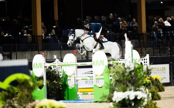 A grey horse jumps at Tryon International