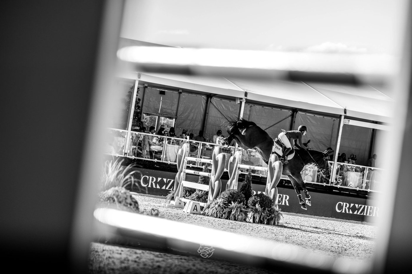 Highlights from MLSJ Greenwich: A Weekend of World-Class Sport