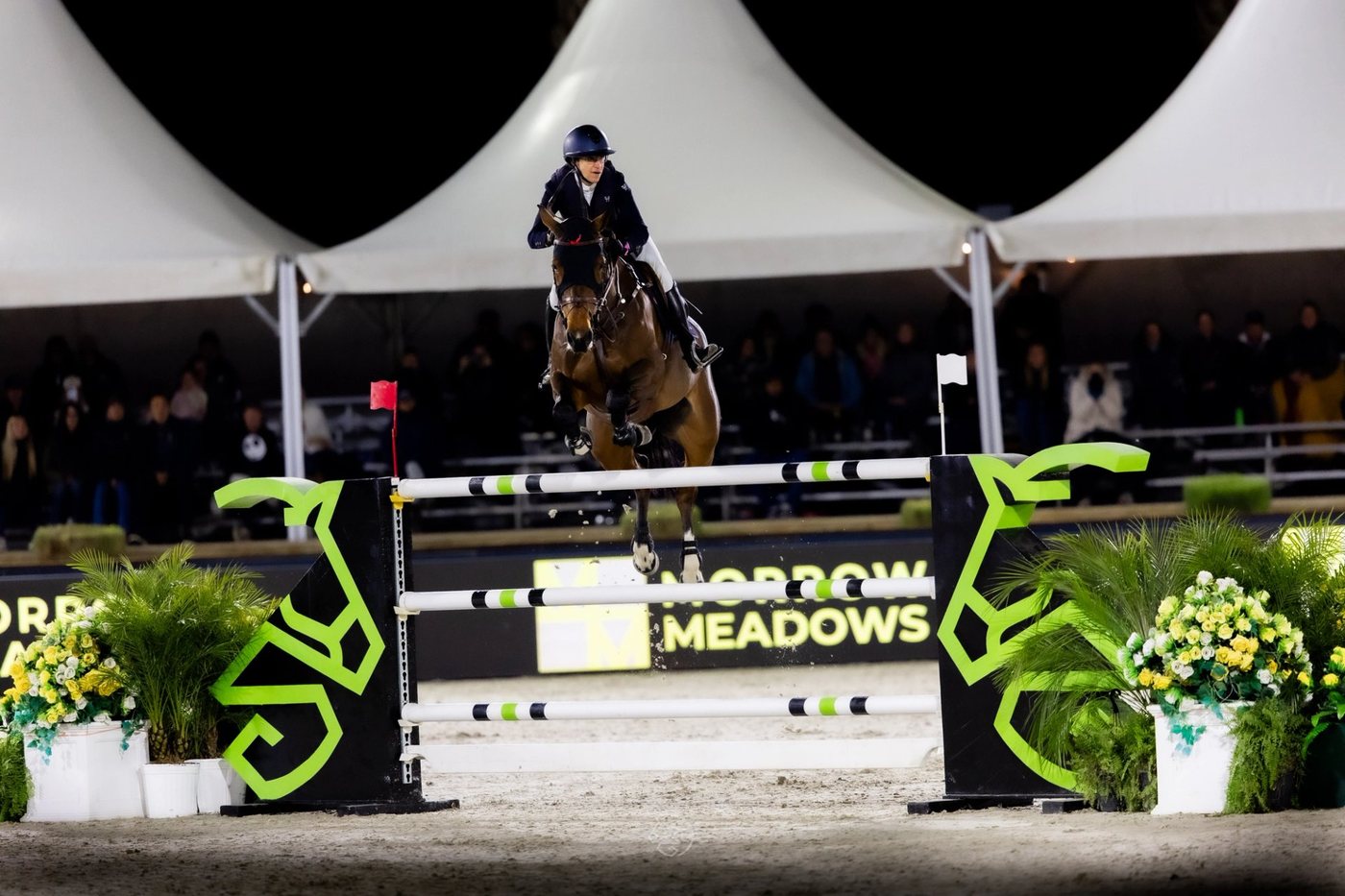 Top Rider Spotlight: Roadrunners