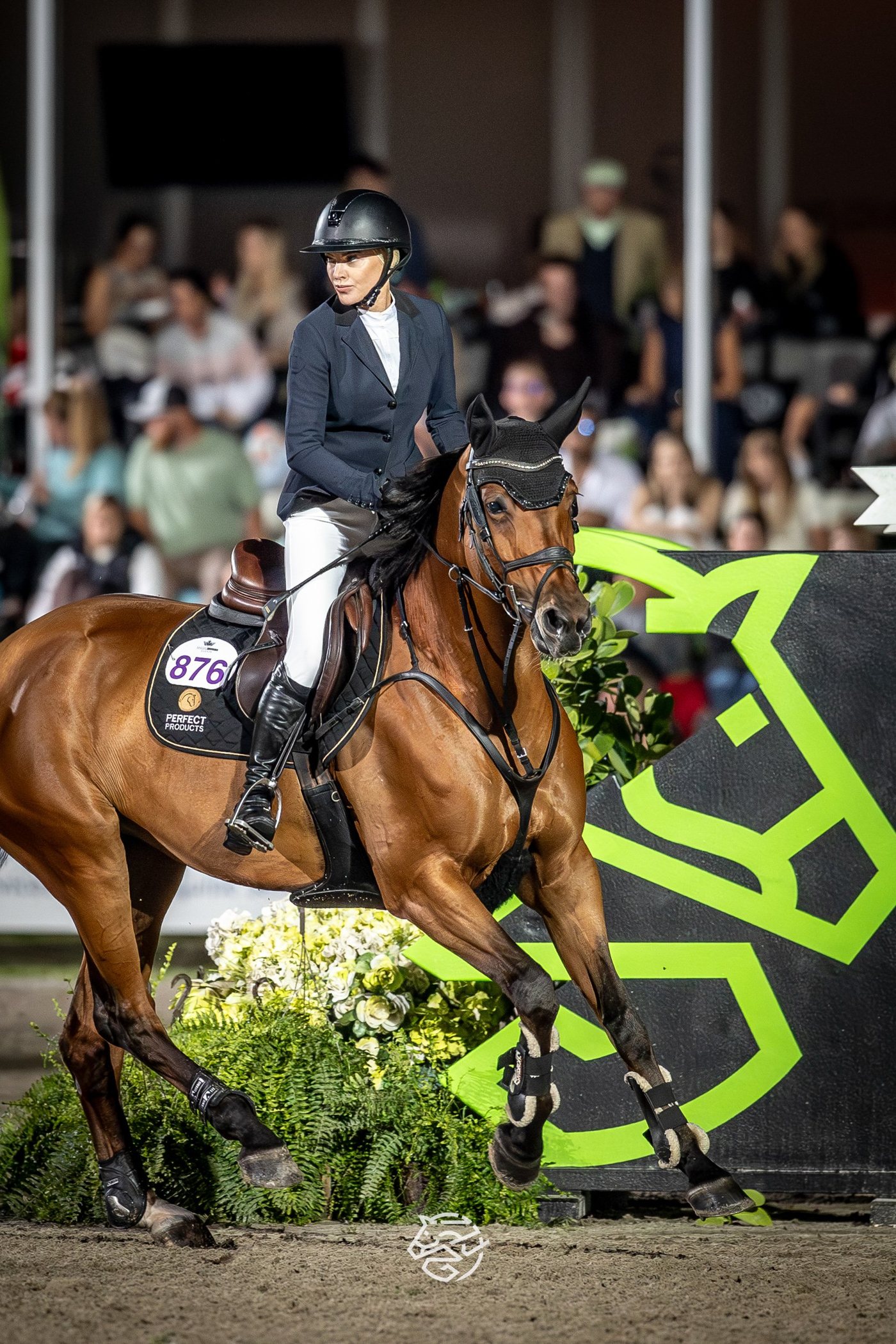 La Contessa Makes Her Mark: Toronto's Horse of the Week