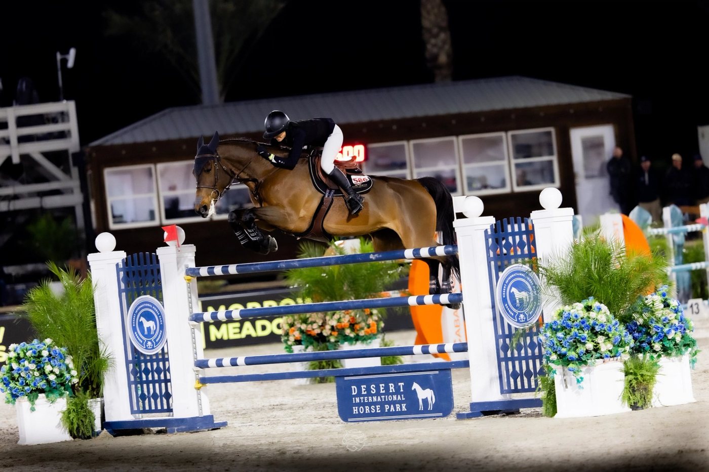 Rider Spotlight: Northern Lights