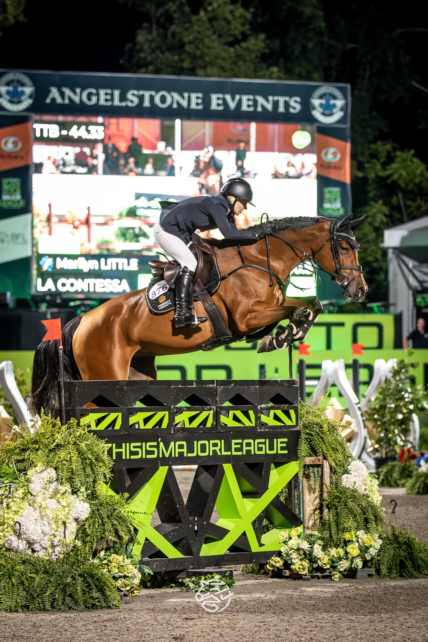 La Contessa Makes Her Mark: Toronto's Horse of the Week