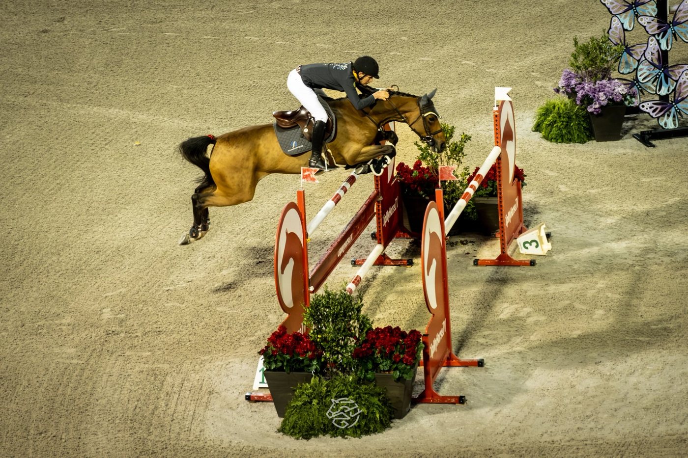Highlights from MLSJ Tryon: A Weekend of New Leaders and Rising Stars