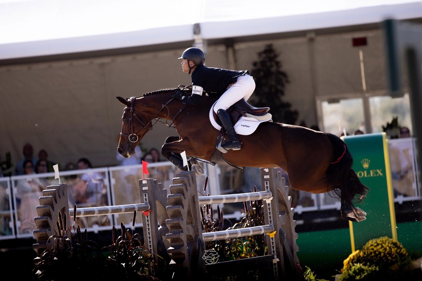 Kent Farrington Delivers at World Cup Finals