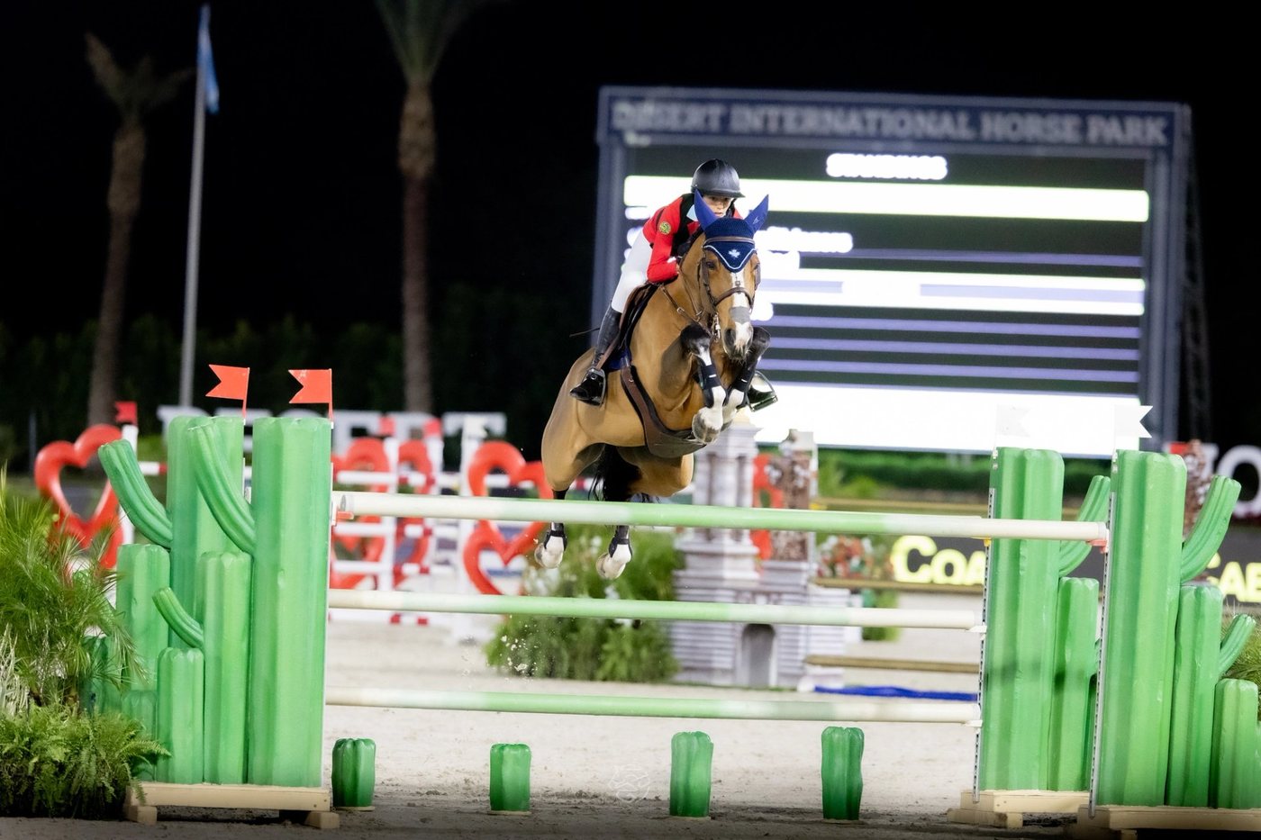 Rider Spotlight: Northern Lights