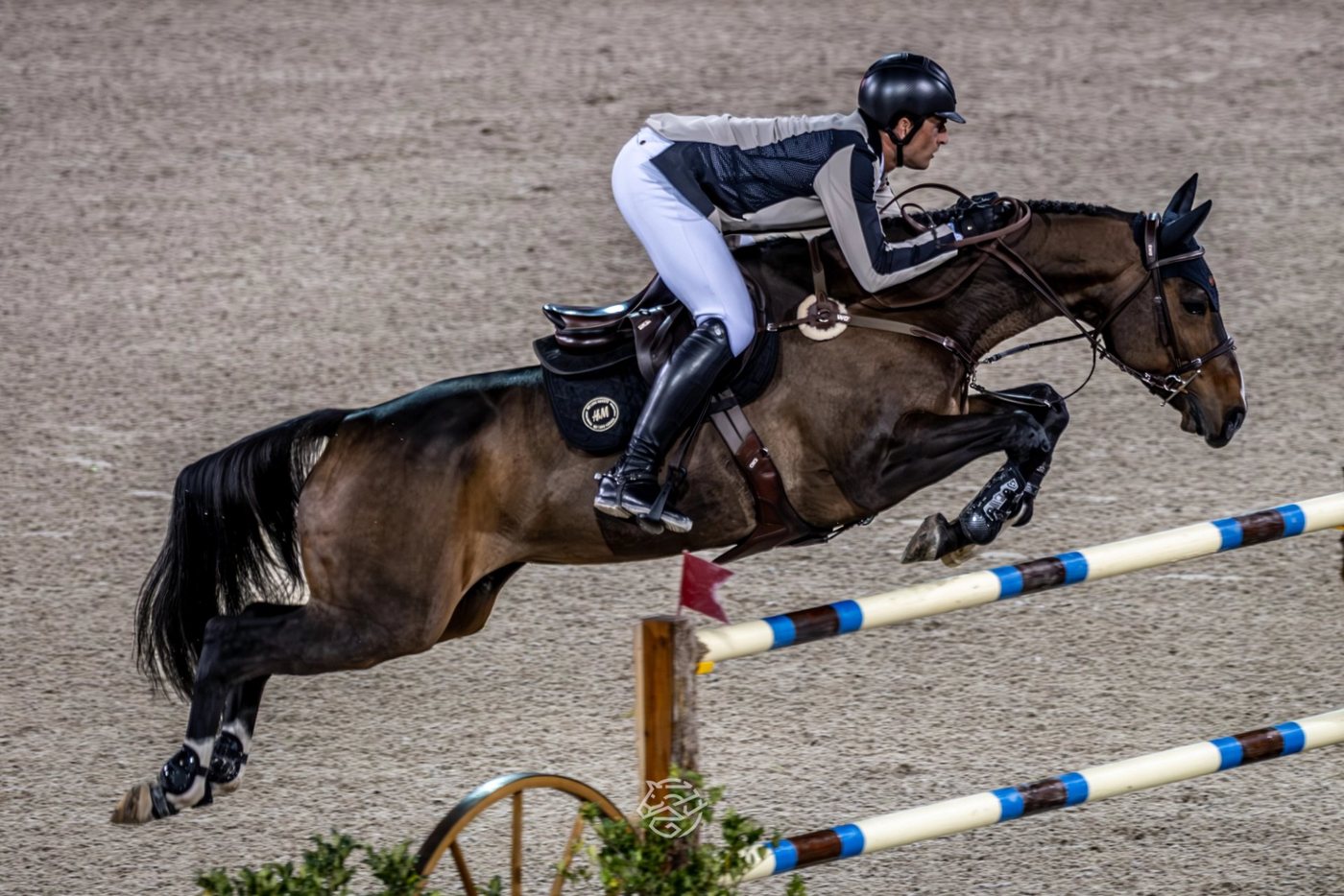 Rider Spotlight: Archers