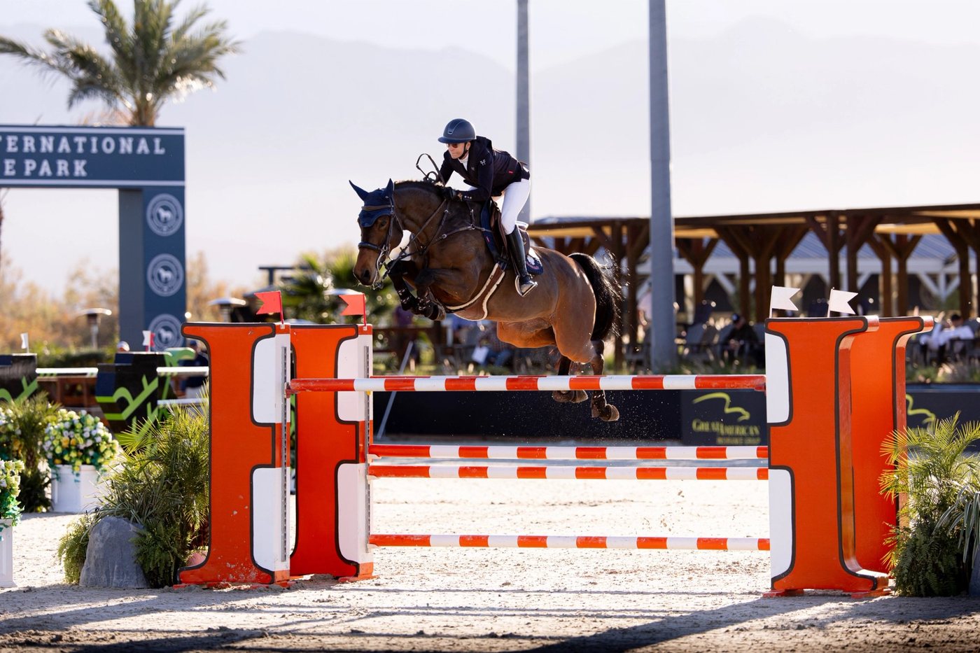Top Rider Spotlight: Roadrunners