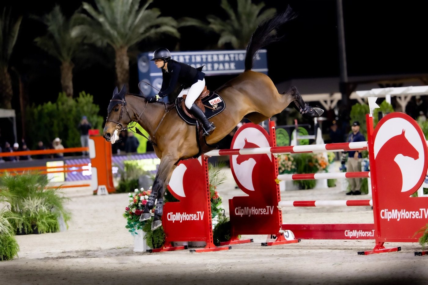 Rider Spotlight: Northern Lights