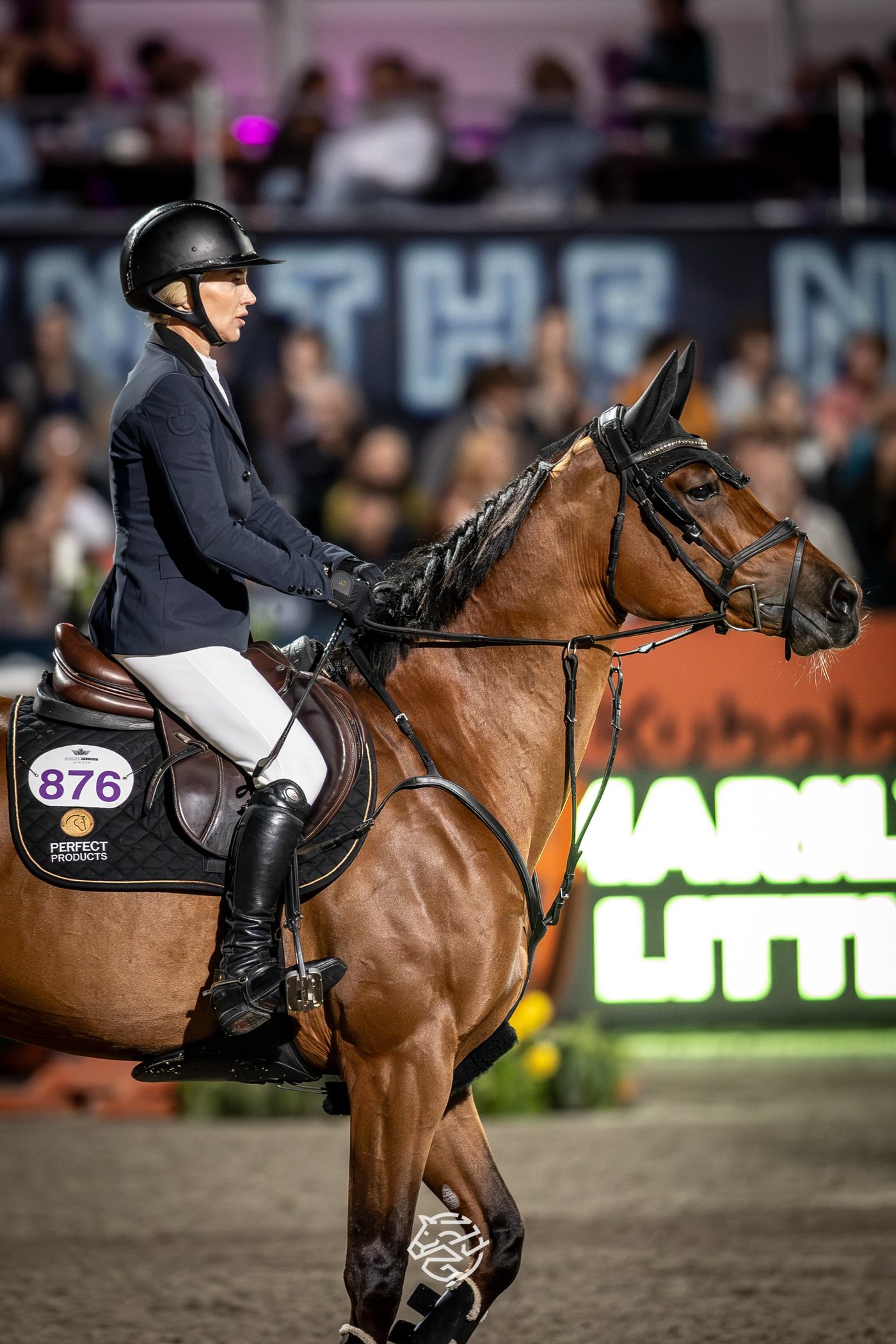 La Contessa Makes Her Mark: Toronto's Horse of the Week