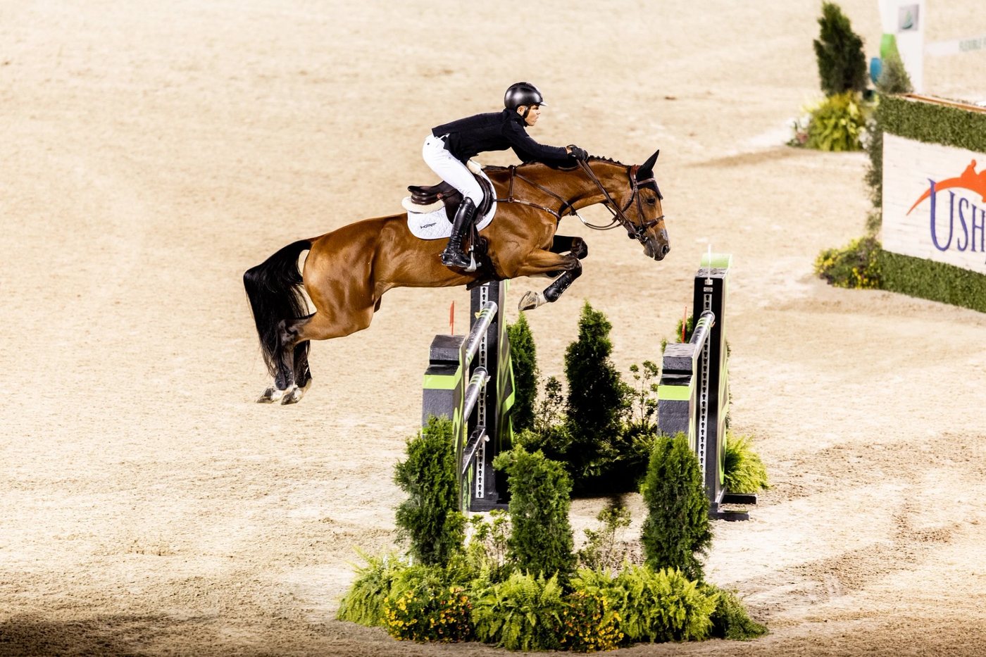Horse of the Week Reveal: Kentucky and Monterrey