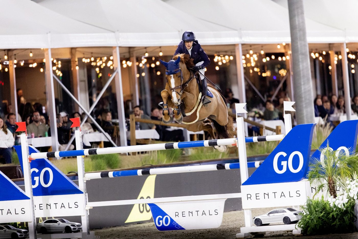 Top Rider Spotlight: Roadrunners