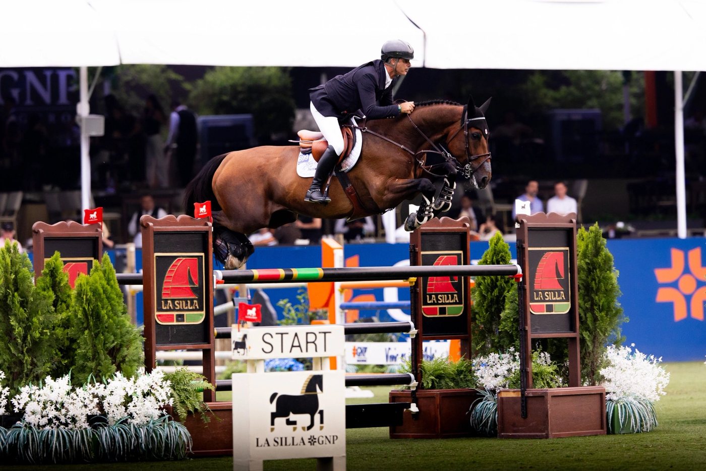 The final Grand Prix winner of Season 5 delivers on the biggest stage