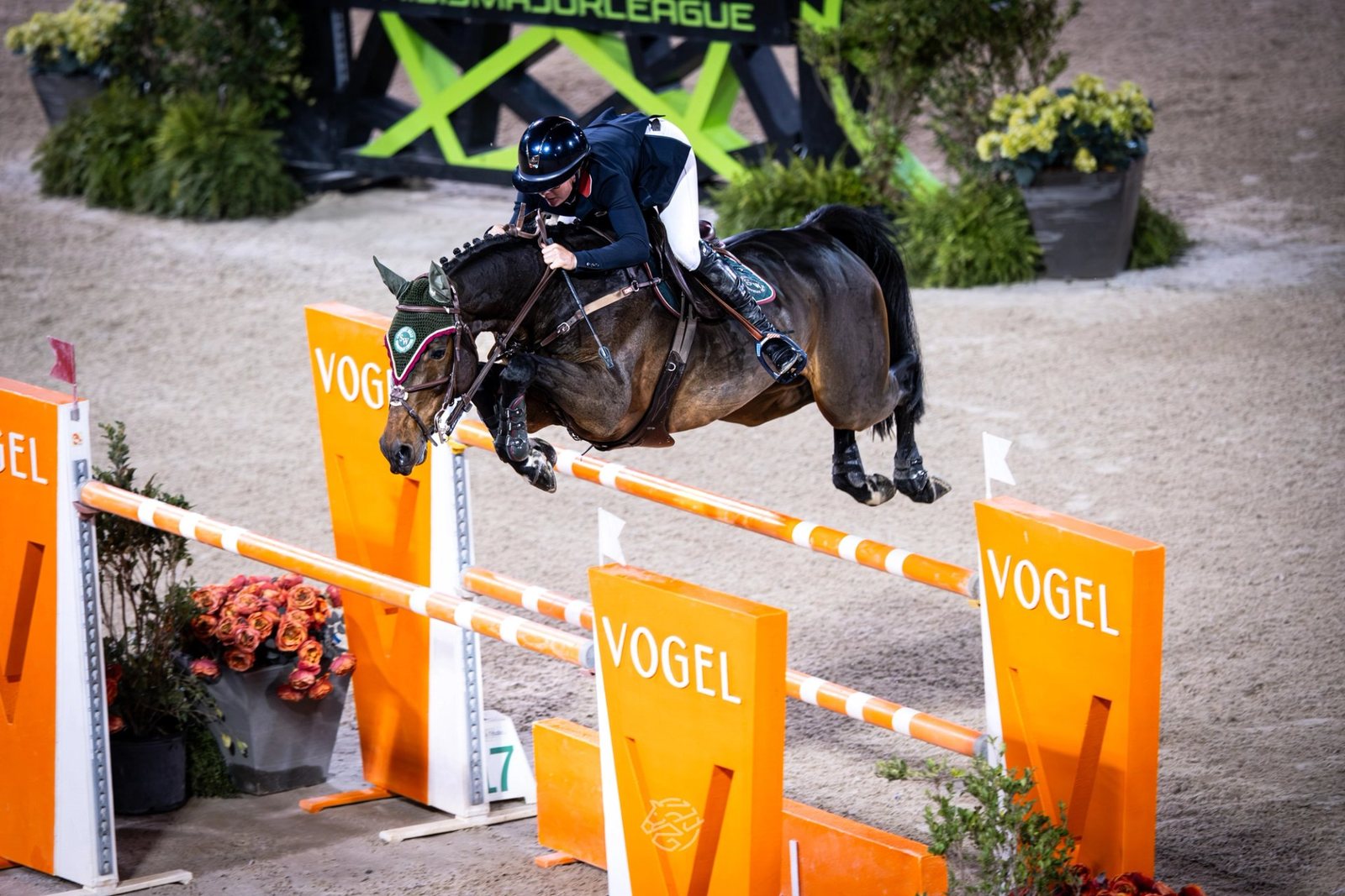 Celebrate Tryon’s Horse of the Week: Barclino B
