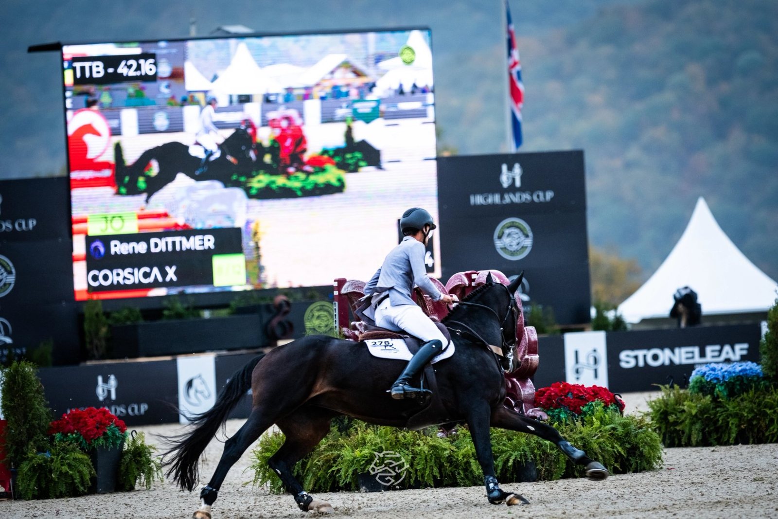 Highlands Horse of the Week: Corsica X
