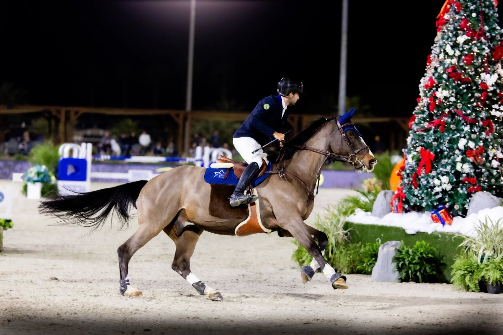 Holiday Wishes from Major League Show Jumping