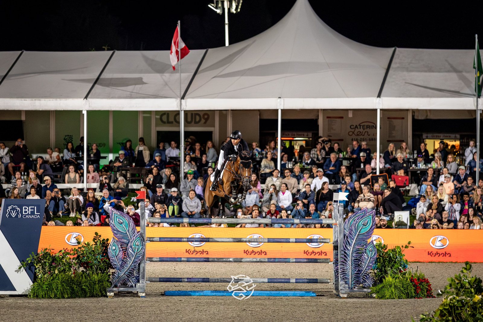 Horse of the Week Poll: Toronto