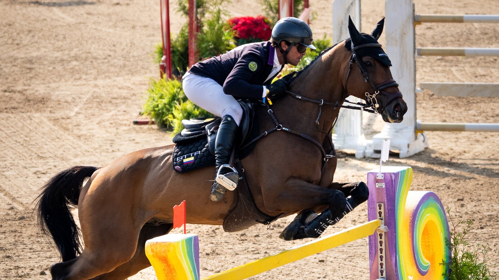 HORSE OF THE WEEK: YOUR VOTE