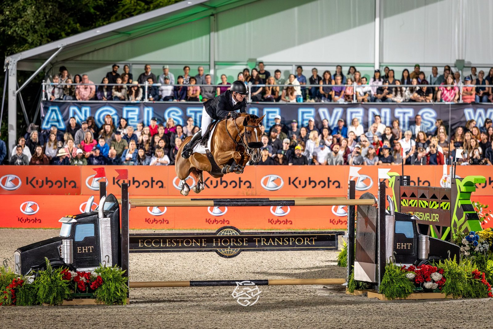 Results: Toronto Horse of the Week