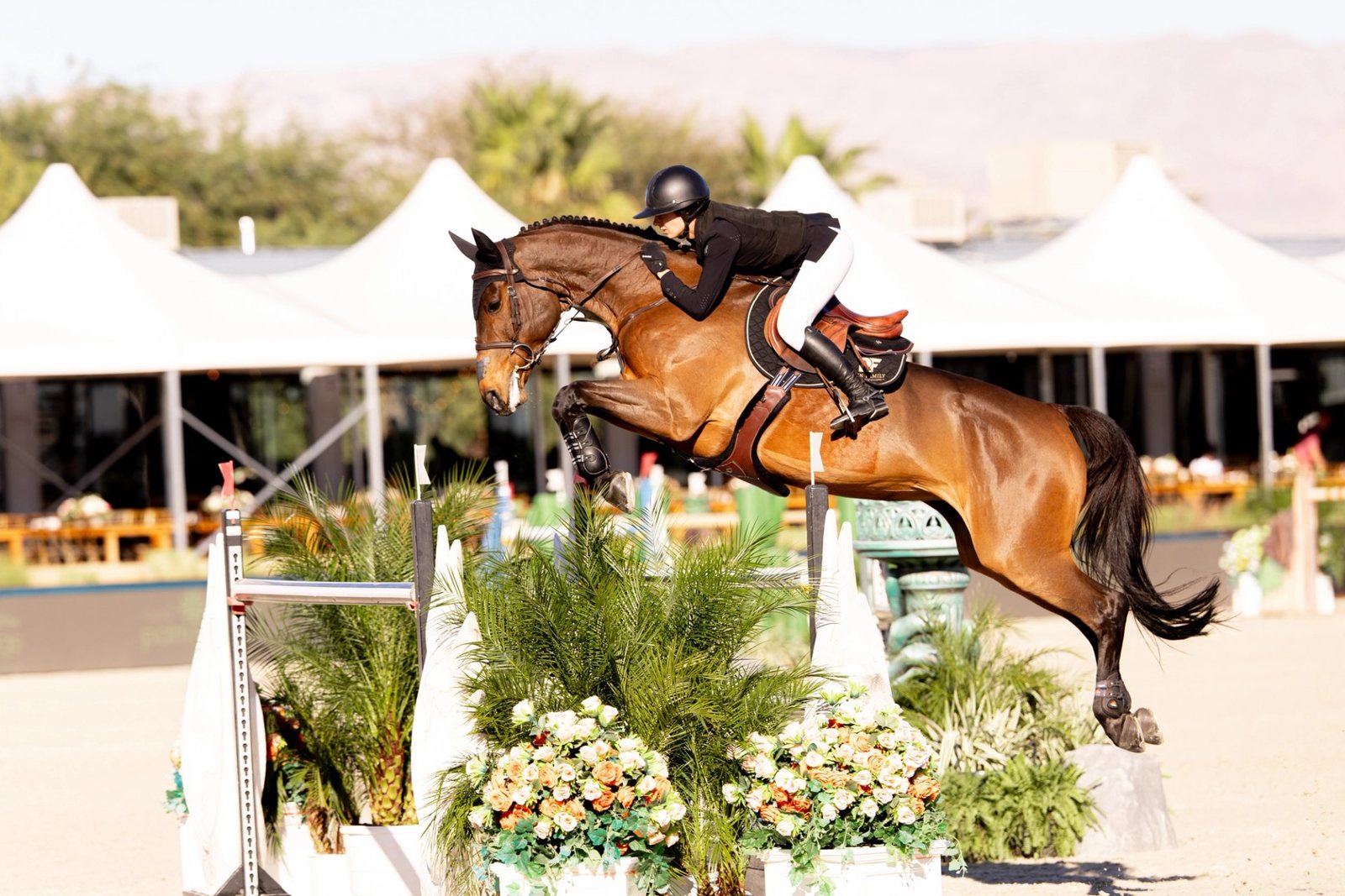 Rider Spotlight: Northern Lights