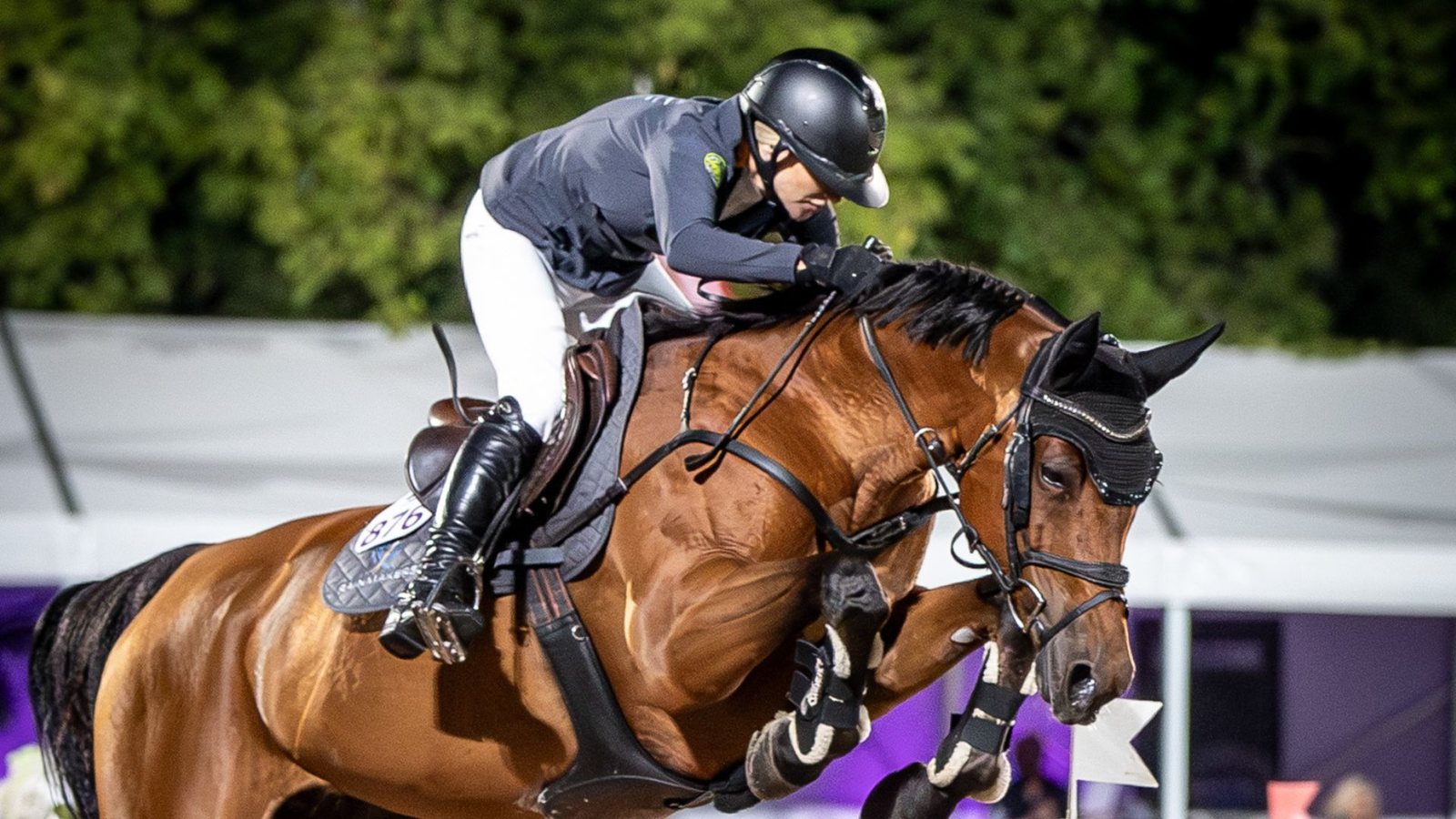 Vote for Horse of the Week in Toronto